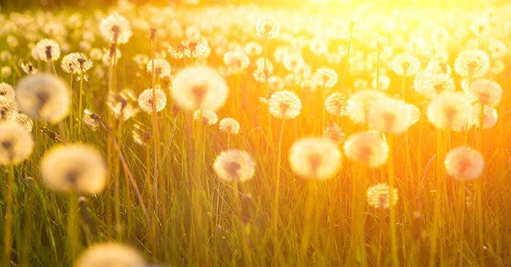 The Connection Between Trauma and Body Image