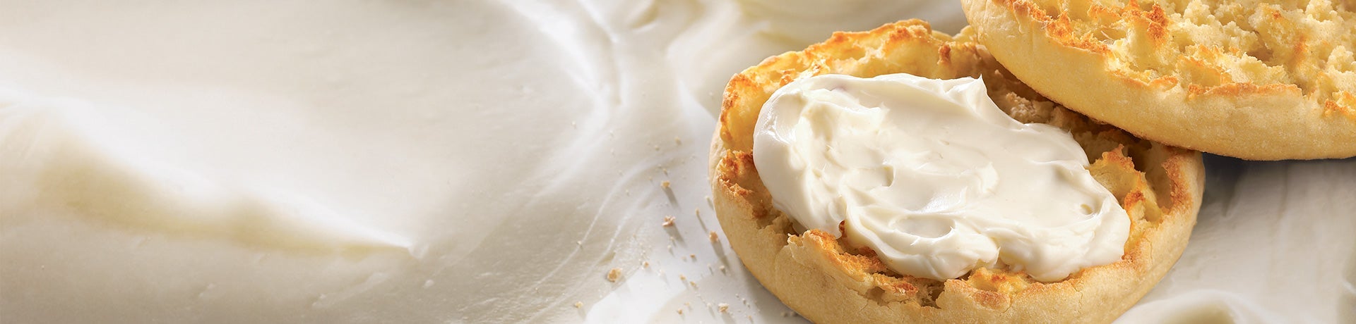 Reduced Fat Chive and Onion Cream Cheese