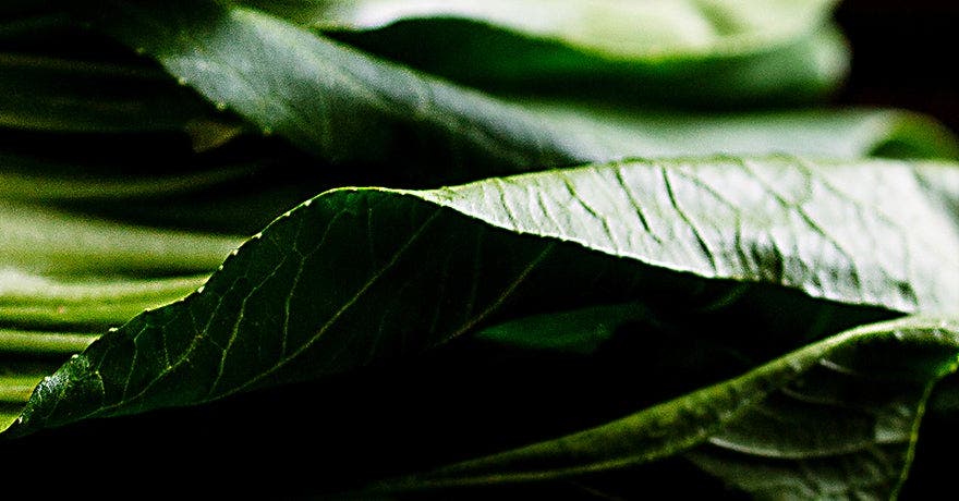 The Stir-Fry Guru Takes on… Leafy Greens