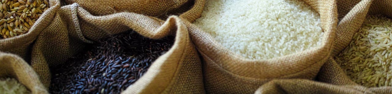 The Skinny on Rice
