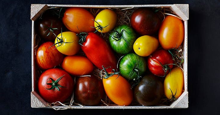 The Skinny on Tomatoes