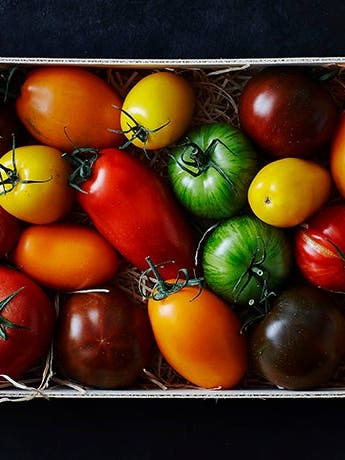 The Skinny on Tomatoes