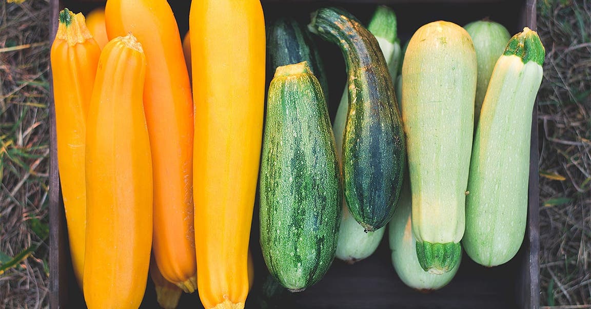 Everything you need to know about summer squash