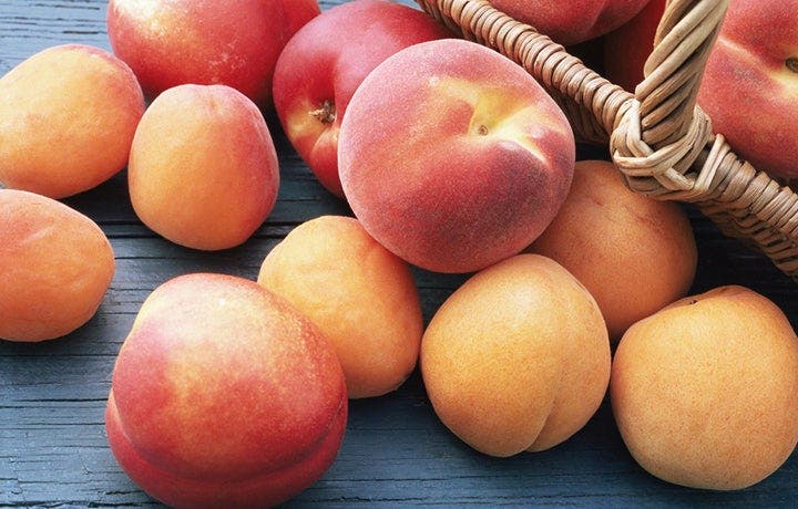 The Ultimate Guide to Peaches, Plums, and Nectarines