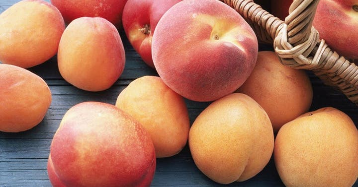 The Ultimate Guide to Peaches, Plums, and Nectarines