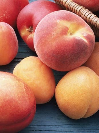 The Ultimate Guide to Peaches, Plums, and Nectarines
