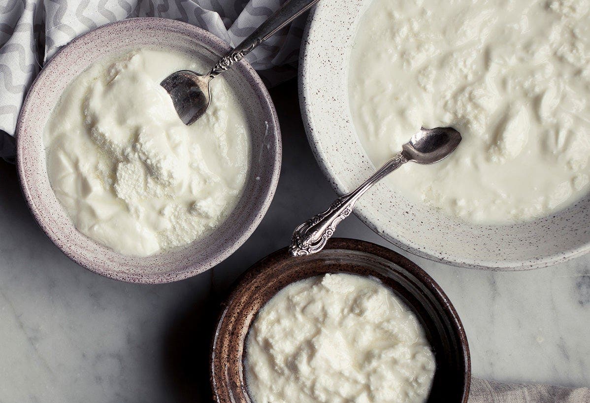 Everything You Want to Know about Yogurt