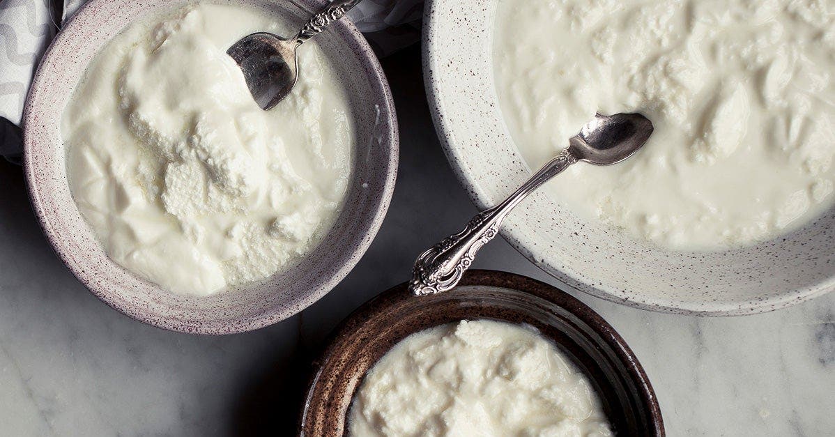 Everything You Want to Know about Yogurt