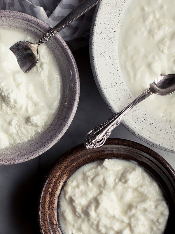 Everything You Want to Know about Yogurt