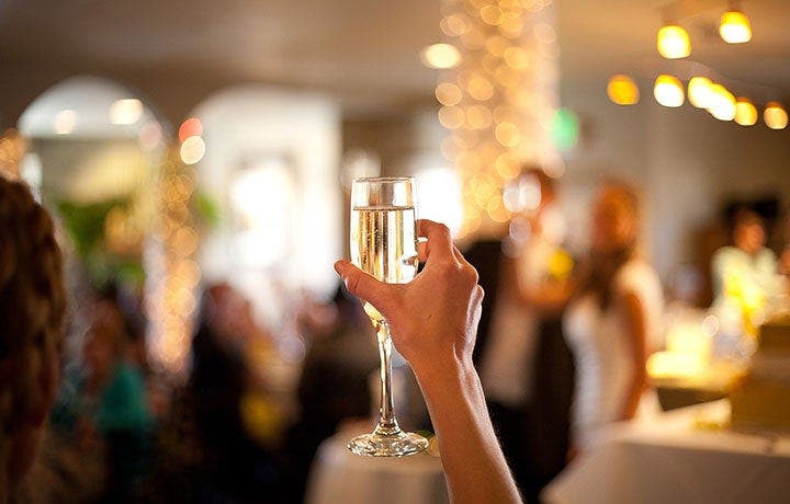 The Wedding Diaries