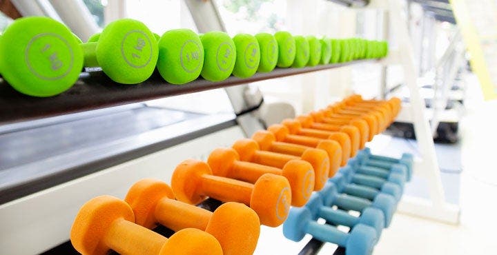 A rack containing dumbbells 