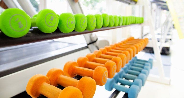 A rack containing dumbbells 