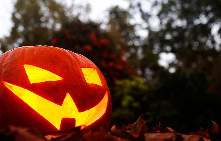 Your Halloween survival guide