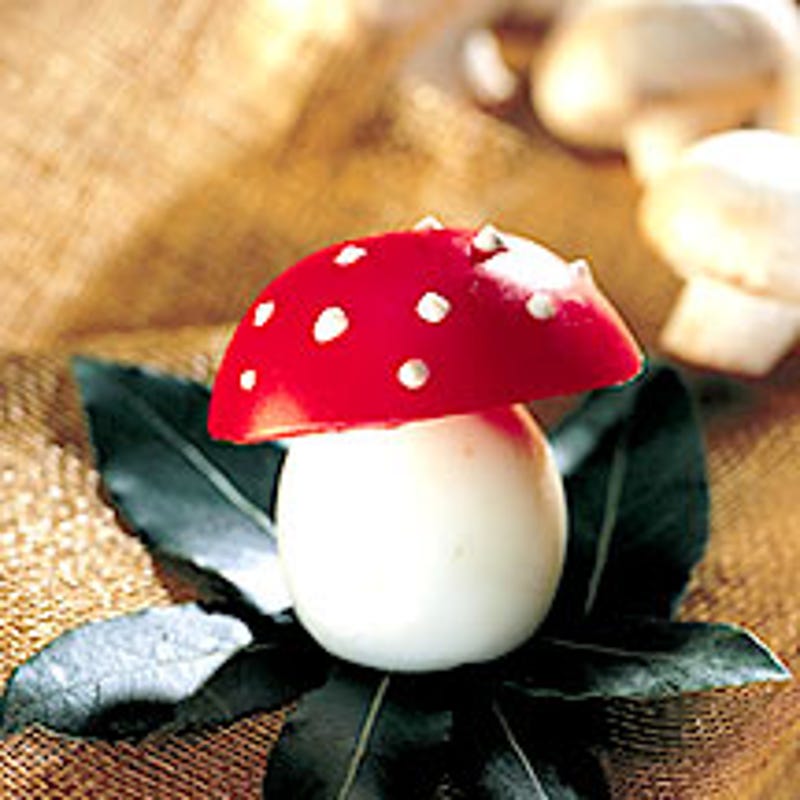 Photo de/du Champignon Blanche Neige par WW