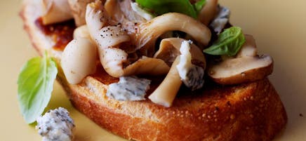 Bruschetta aux champignons et gorgonzola