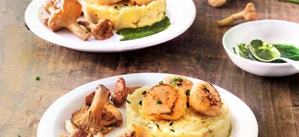 Parmentier aux Saint-Jacques