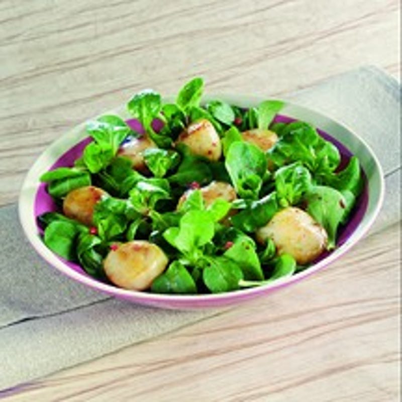 Photo de/du Noix de Saint-Jacques sur lit de mâche par WW