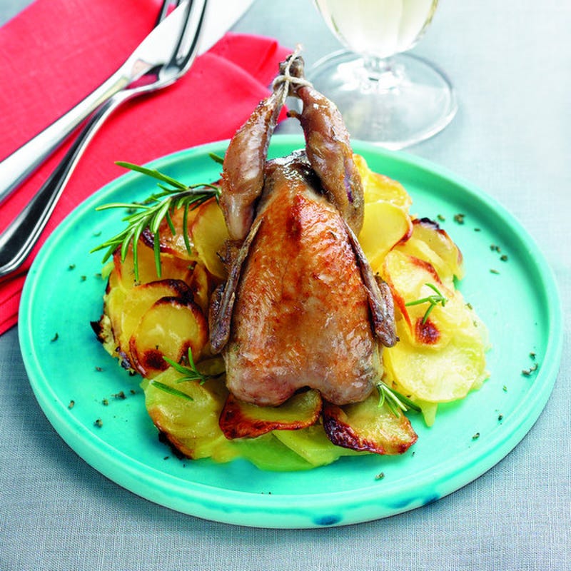 Photo de/du Cailles dauphinoises par WW