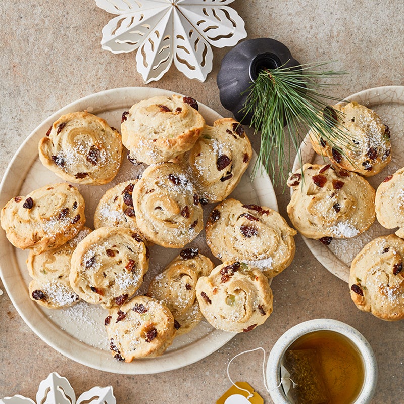 Stollenschnecken