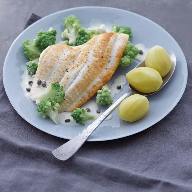 Zarte Schollenfilets mit Zitronen-Kapern-Sauce