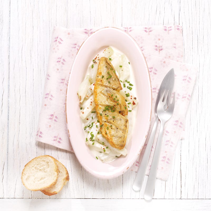 Foto Zander auf Kohlrabigemüse mit Knoblauchsauce von WW