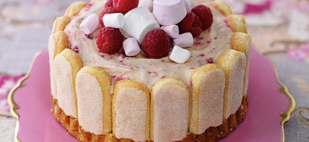 Ice cream raspberry ripple cake