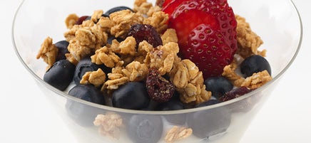 Yogourt Crunch Sundae
