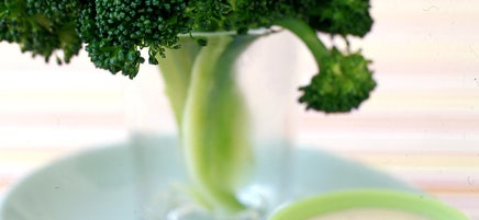 Broccoli ‘Trees’ with Honey-Dijon Dipping Sauce (kid-friendly)