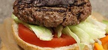 Classic Burger