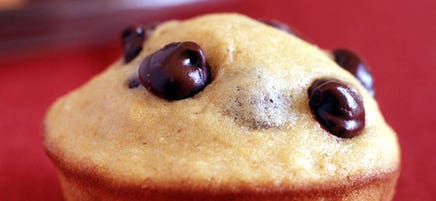 Low-Fat Chocolate Chip Muffins