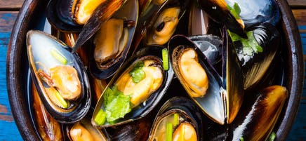 P.E.I. Mussels in Tomato Broth
