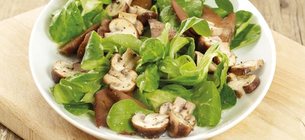 Pilzsalat mit gebratenem Seitan