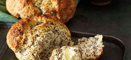 Quinoa damper