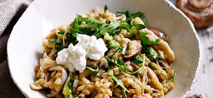 Barley risotto with mixed mushrooms and thyme
