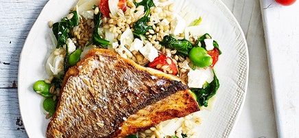 Snapper with warm barley, fennel and broad bean salad