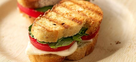 Fresh mozzarella and tomato paninis