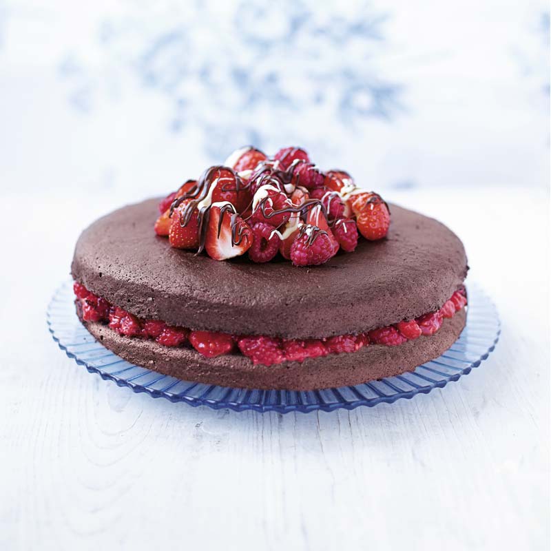 ViktVäktarna - Chokladtårta med bär