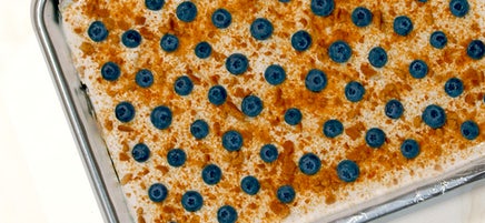 Frozen blueberry-graham cracker yogurt bark