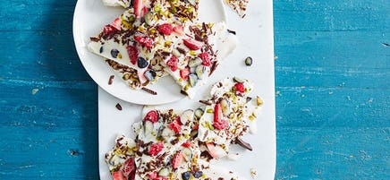 Fro-yo bark