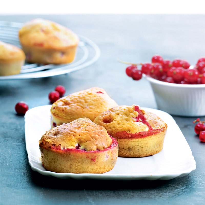 Muffins aux groseilles