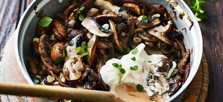 Creamy mushroom pasta