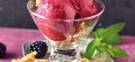 Sorbet de mûres avec croquant