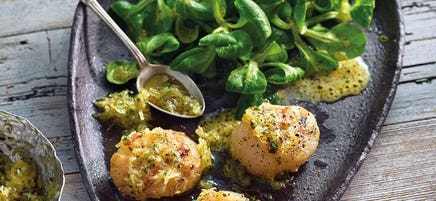 Trüffel-Jakobsmuscheln mit Parmesan