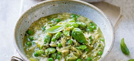 Green minestrone