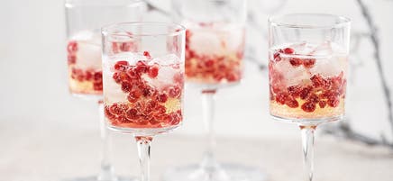 Prosecco med granatäpple