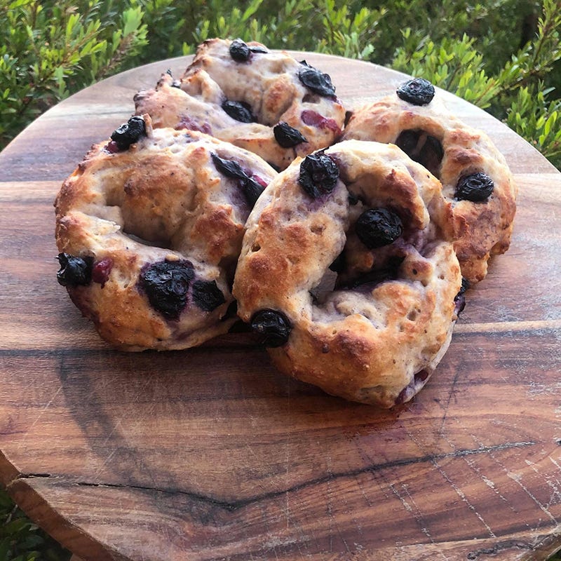 Sarah's blueberry bagels