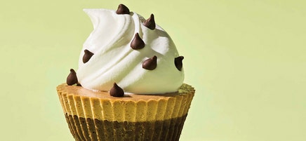 Frozen double chocolate cheesecakes