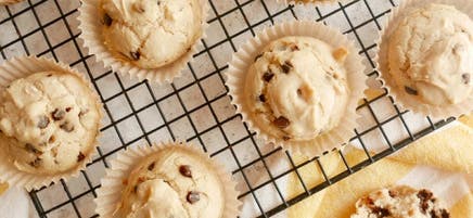 Vegan, gluten-free chocolate chip muffins