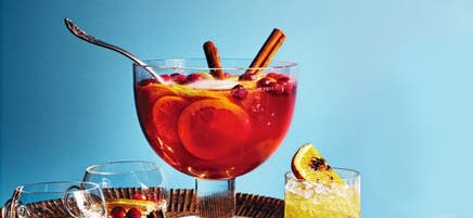 Sparkling Sangria-Style Punch