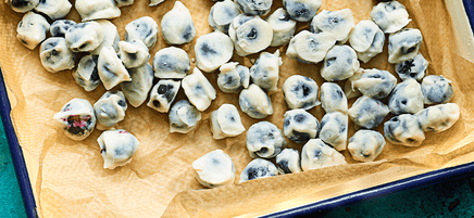 Frozen yoghurt-coated blueberries